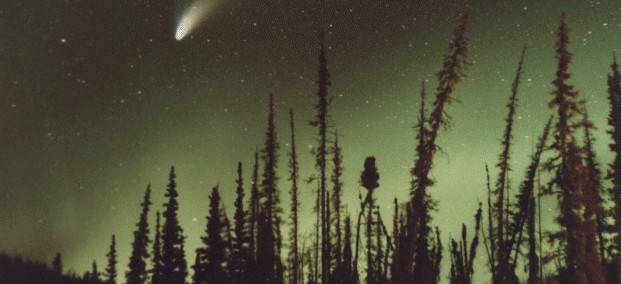 Northern Lights in Alaska